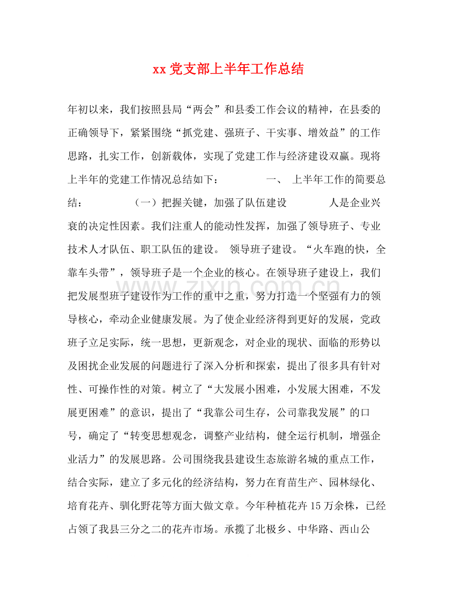 党支部上半年工作总结.docx_第1页