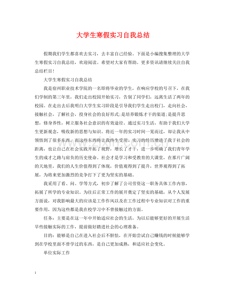 大学生寒假实习自我总结.docx_第1页