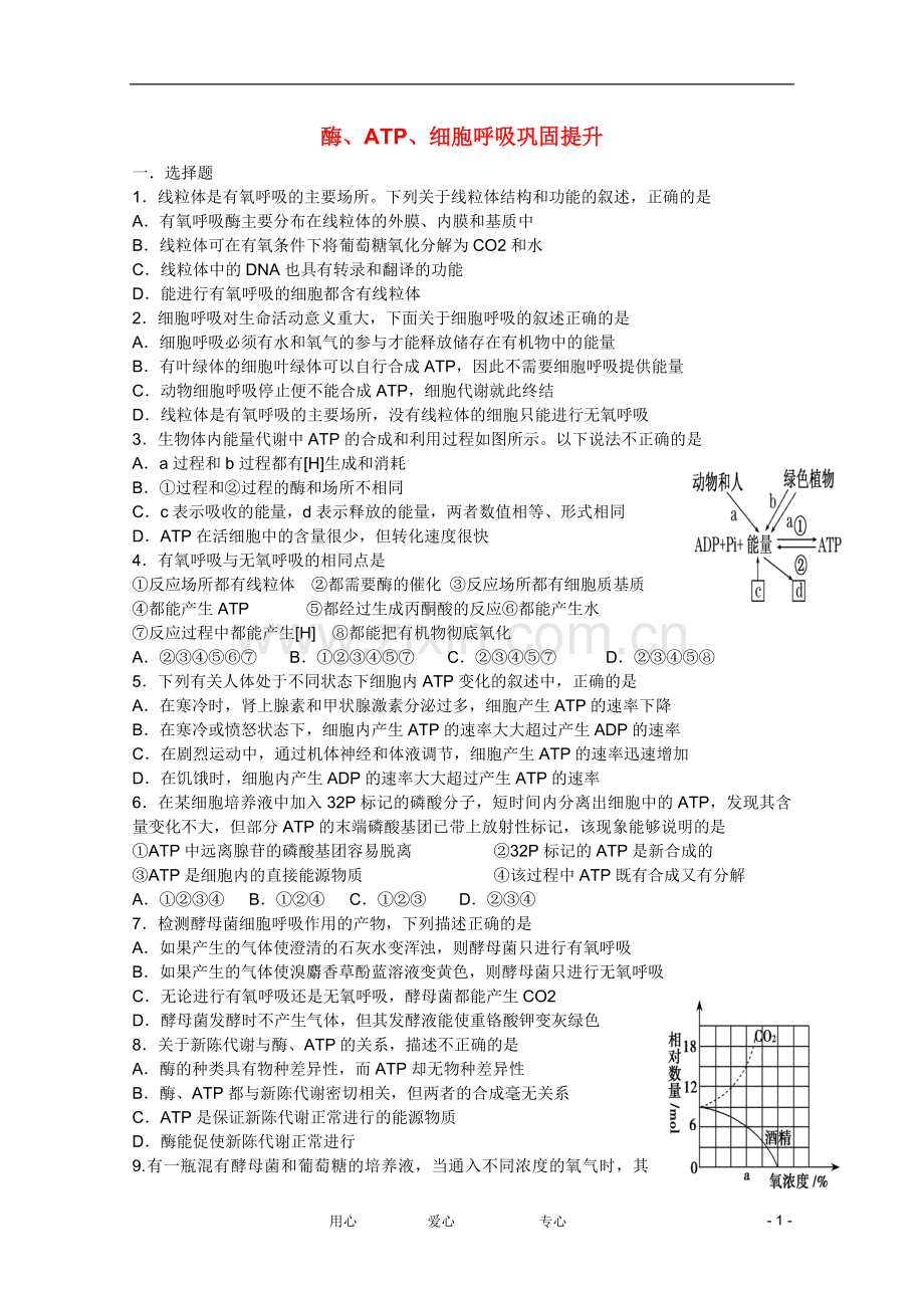 2013届高三生物-酶、ATP、细胞呼吸测试题.doc_第1页