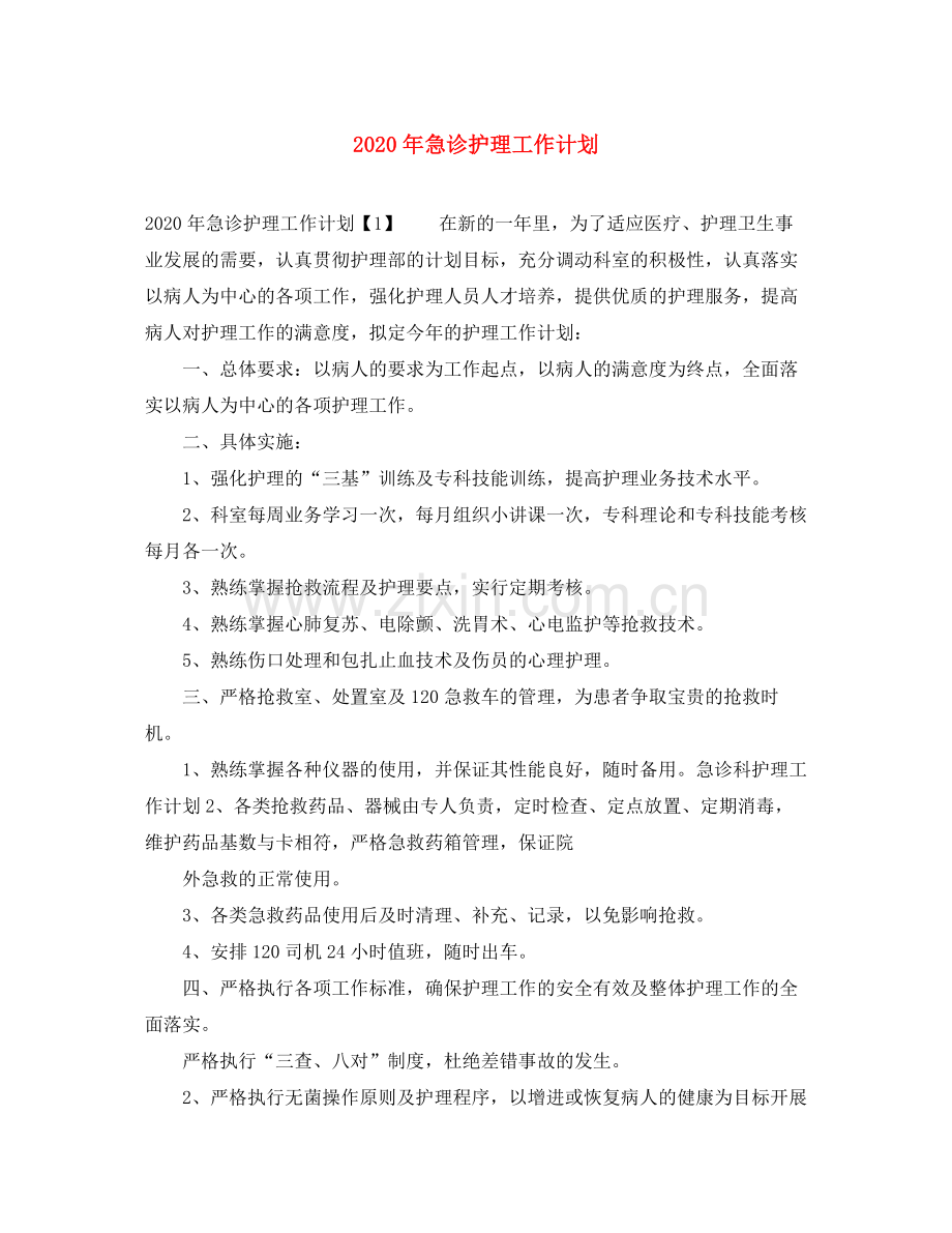 2020年急诊护理工作计划.docx_第1页