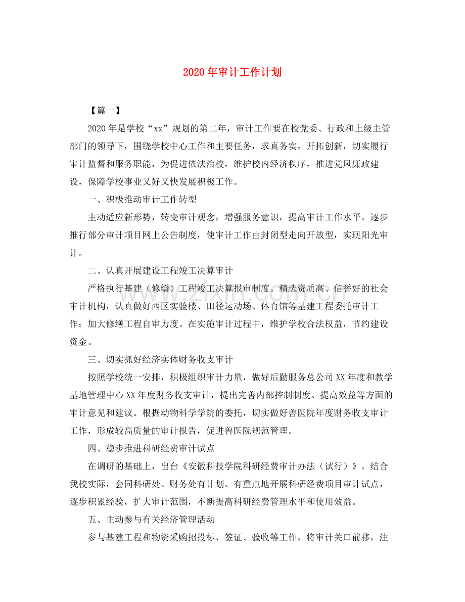 2020年审计工作计划.docx_第1页