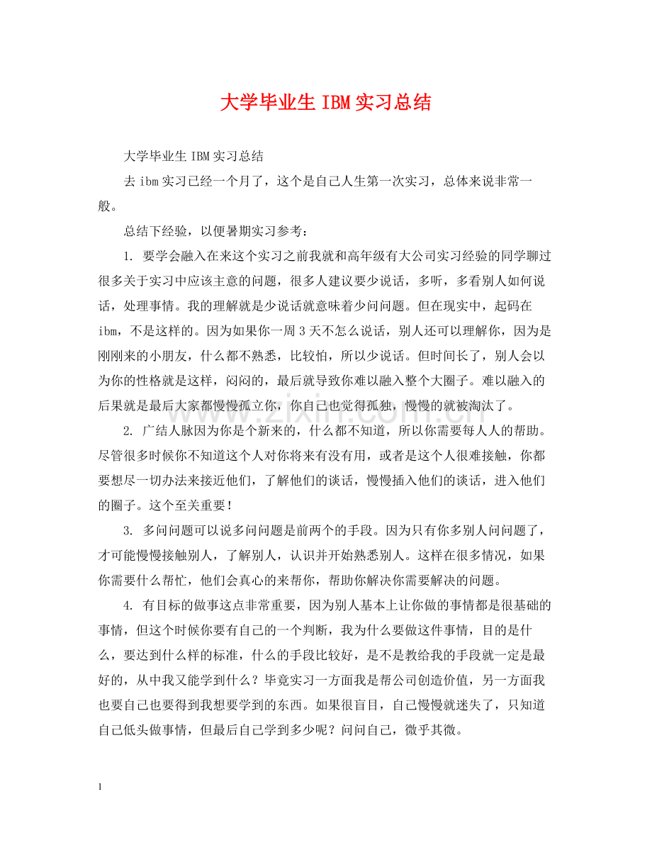 大学毕业生IBM实习总结.docx_第1页