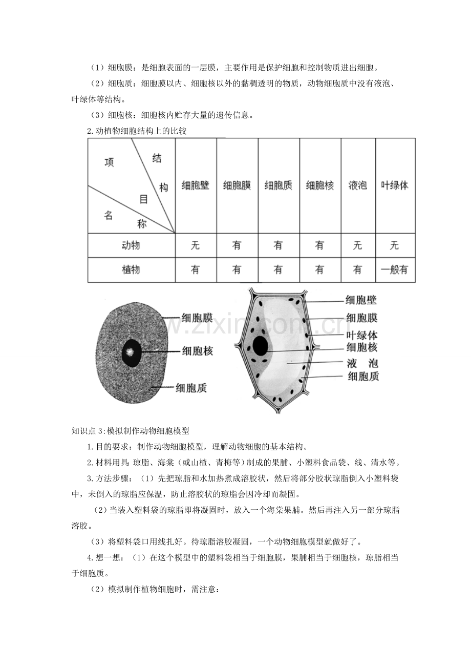 七年级生物上册 2.1.3 动物细胞备课资料 （新版）新人教版-（新版）新人教版初中七年级上册生物教案.doc_第2页