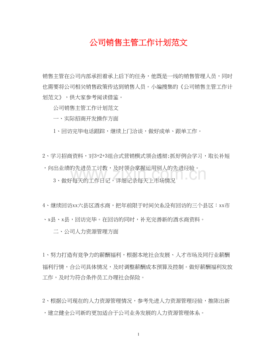 公司销售主管工作计划范文.docx_第1页