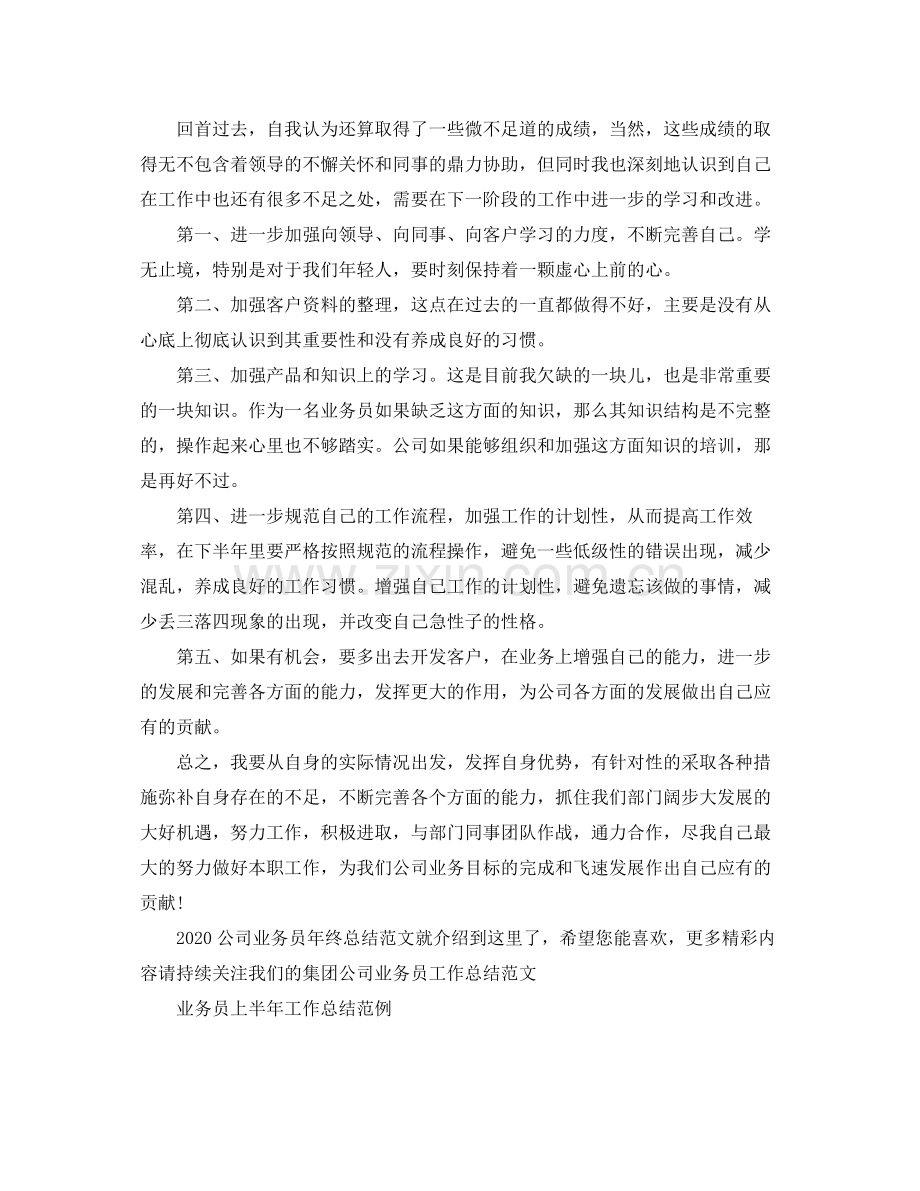 公司业务员年终总结范文.docx_第2页