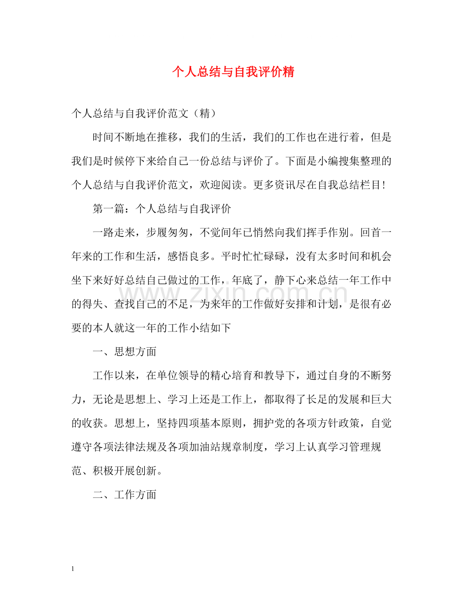 个人总结与自我评价精.docx_第1页