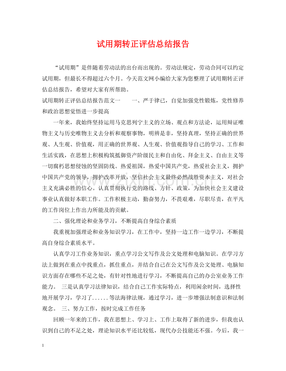 试用期转正评估总结报告.docx_第1页