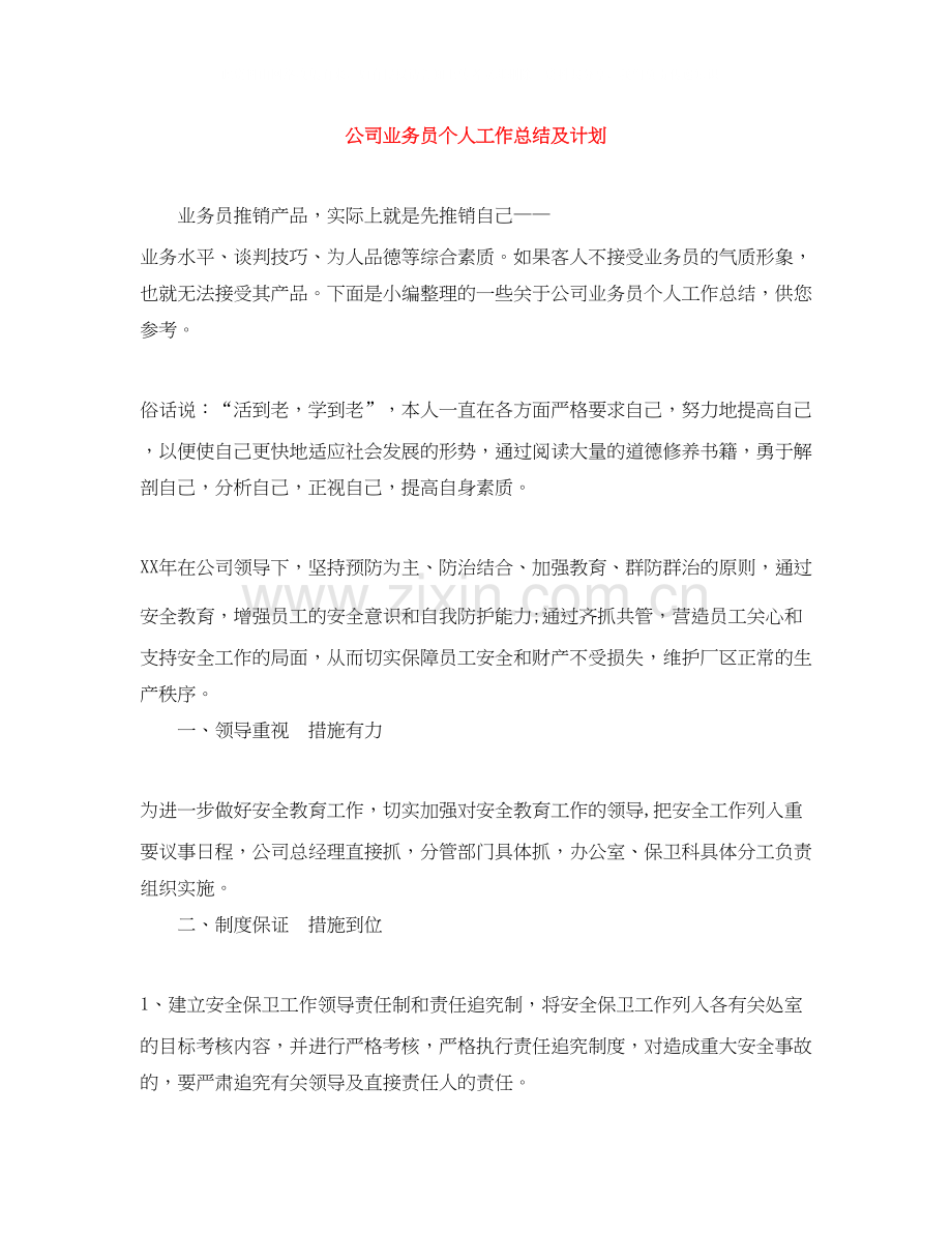 公司业务员个人工作总结及计划.docx_第1页