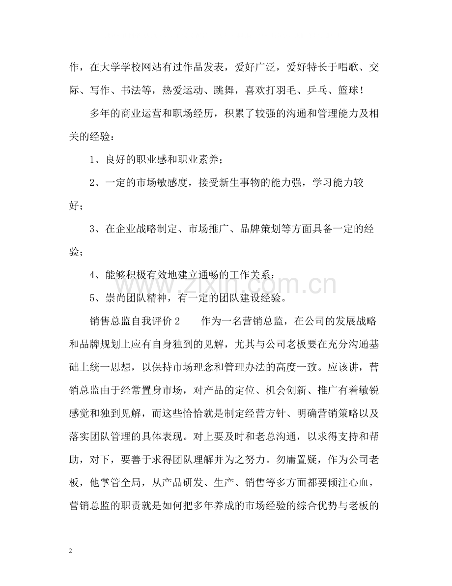 销售总监自我评价.docx_第2页