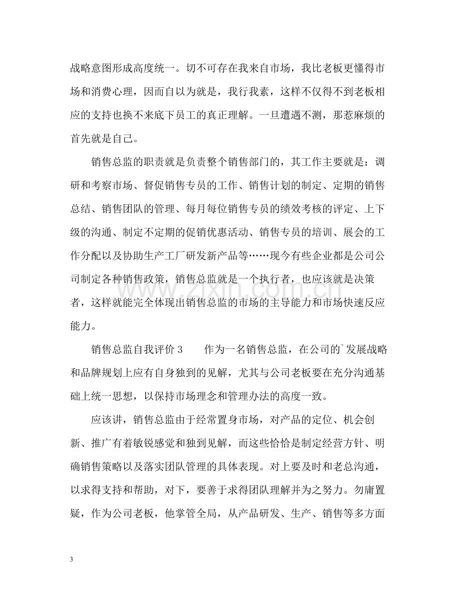 销售总监自我评价.docx_第3页