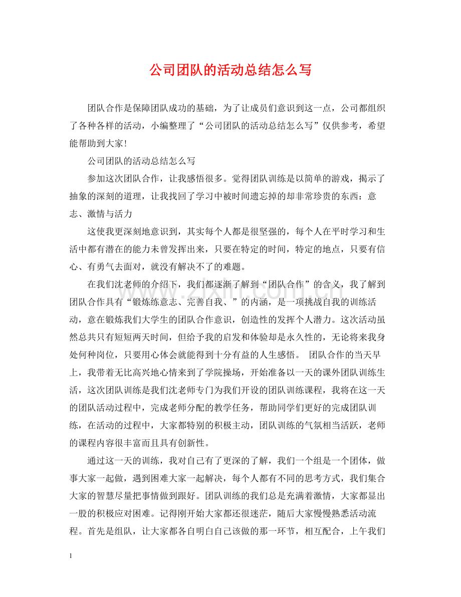 公司团队的活动总结怎么写.docx_第1页