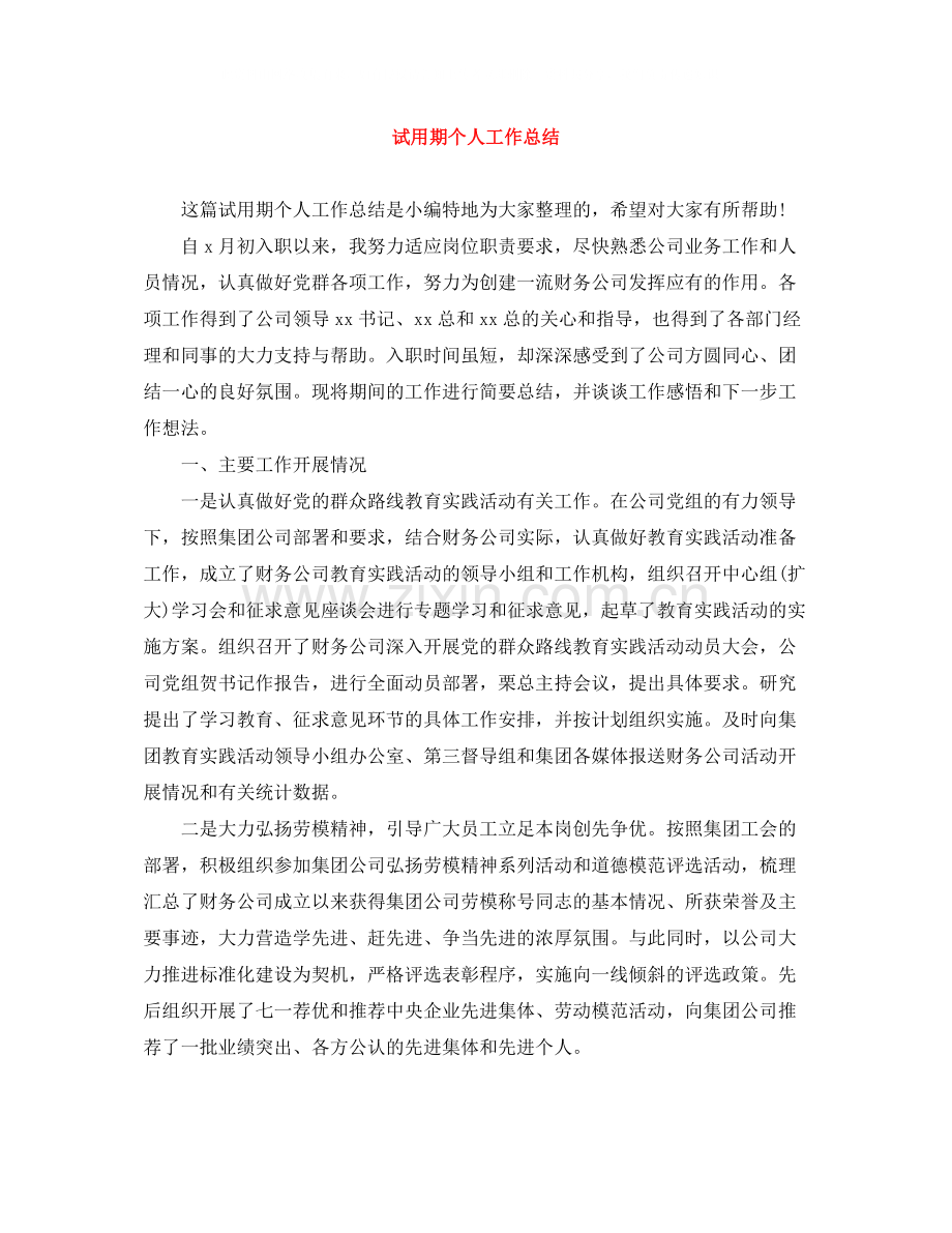 试用期个人工作总结4.docx_第1页