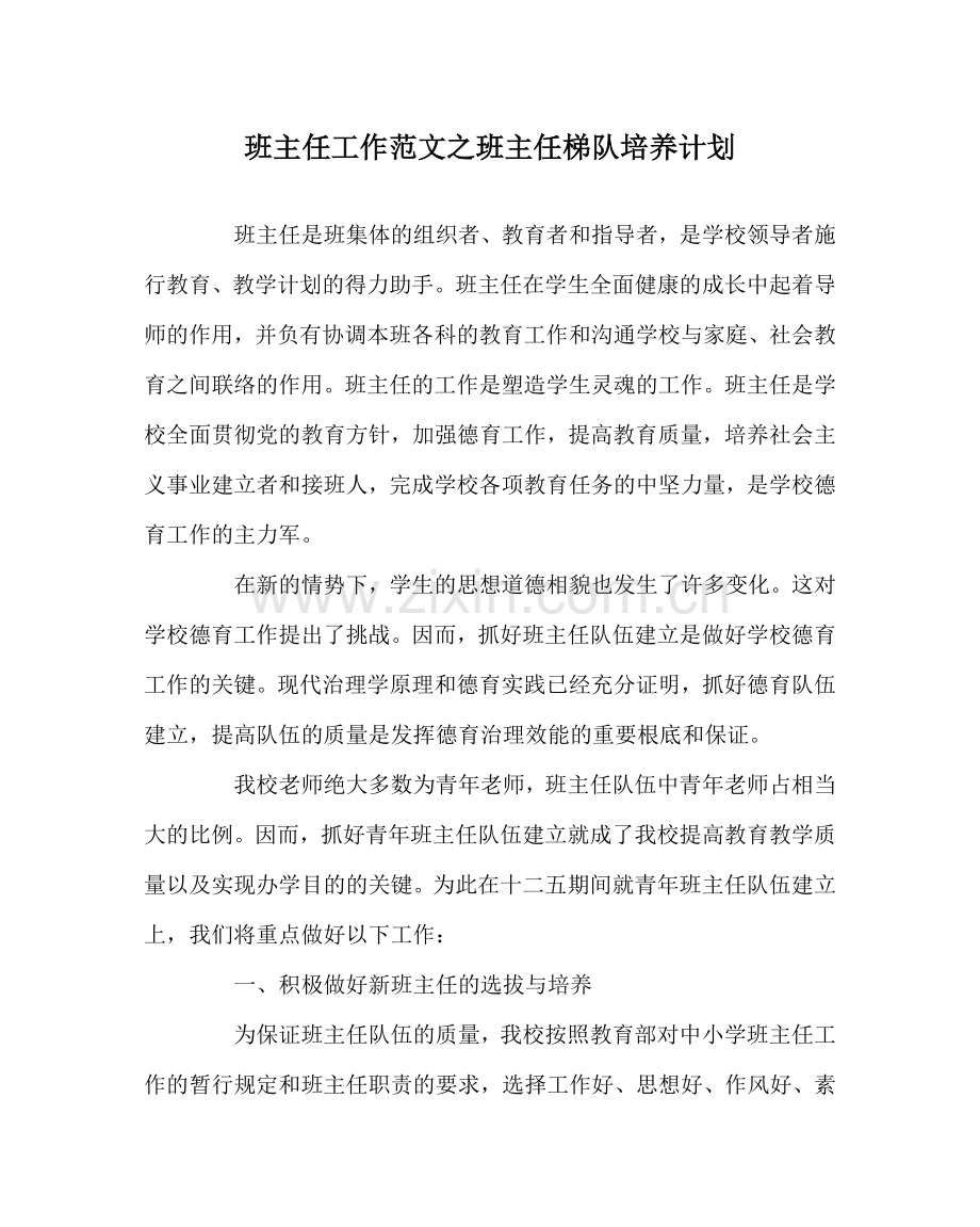 班主任工作范文班主任梯队培养计划.doc_第1页