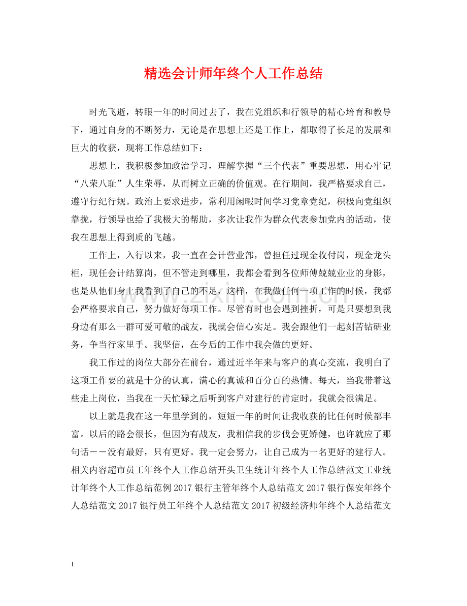 会计师年终个人工作总结.docx_第1页