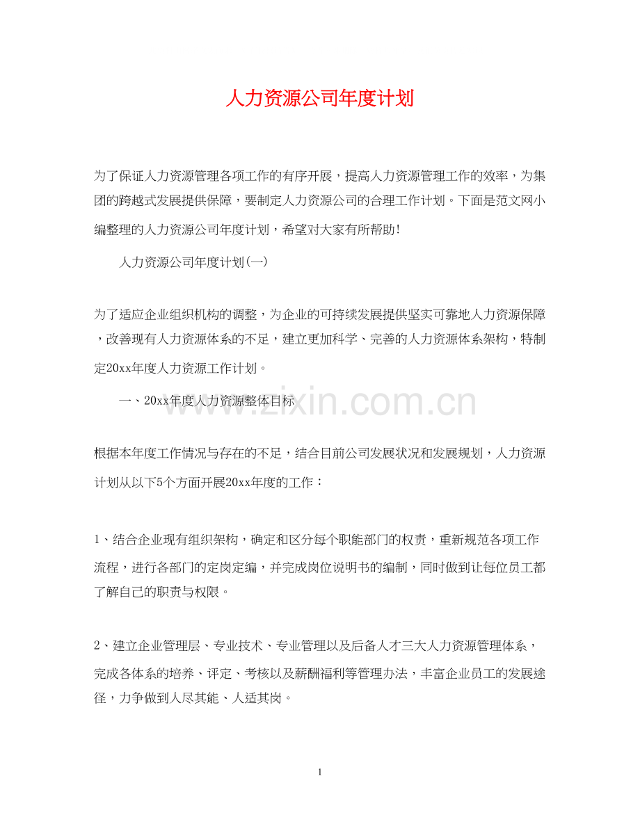 人力资源公司年度计划.docx_第1页