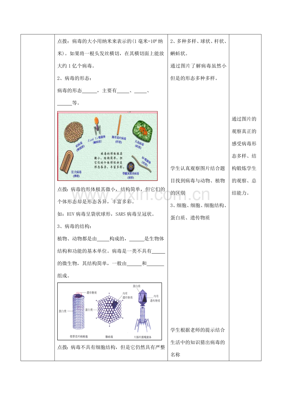 七年级生物上册 2.3.1《病毒》教案1 （新版）济南版-（新版）济南版初中七年级上册生物教案.doc_第3页