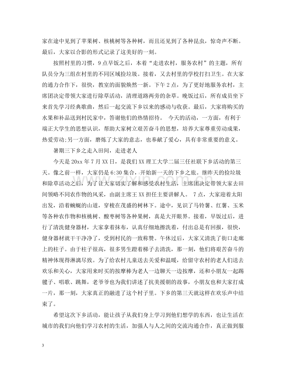 大学生暑期三下乡社会实践个人活动总结.docx_第3页