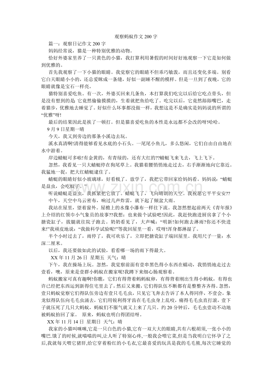 观察蚂蚁作文200字.doc_第1页