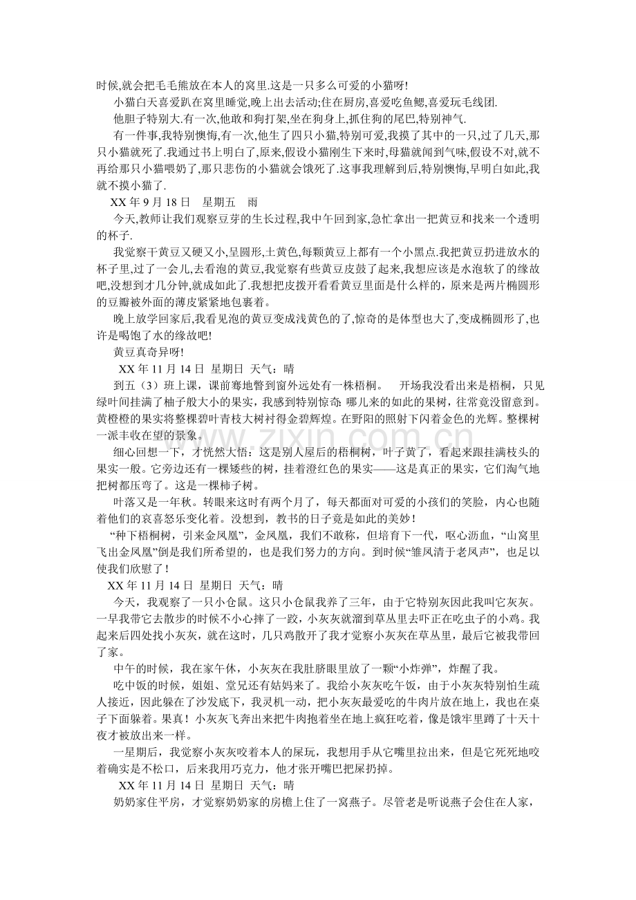 观察蚂蚁作文200字.doc_第2页