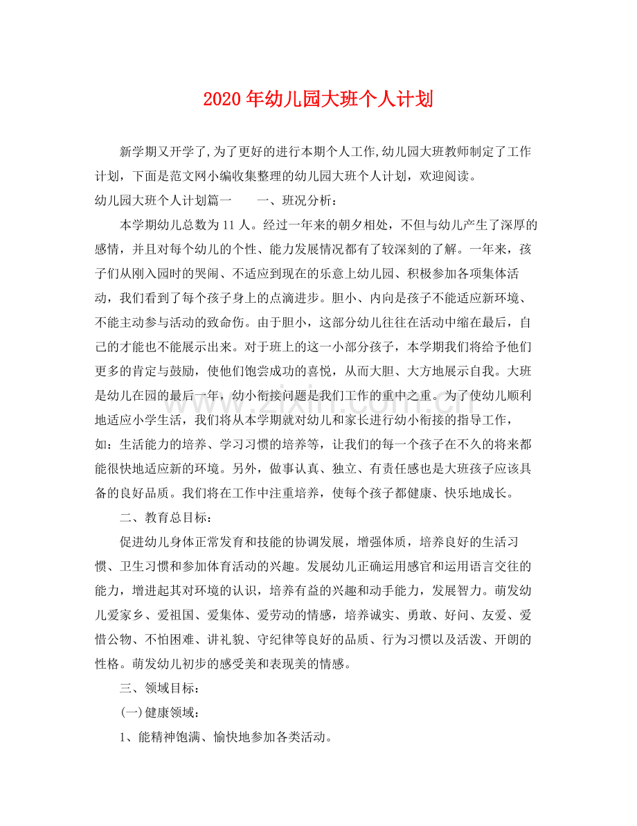 2020年幼儿园大班个人计划.docx_第1页