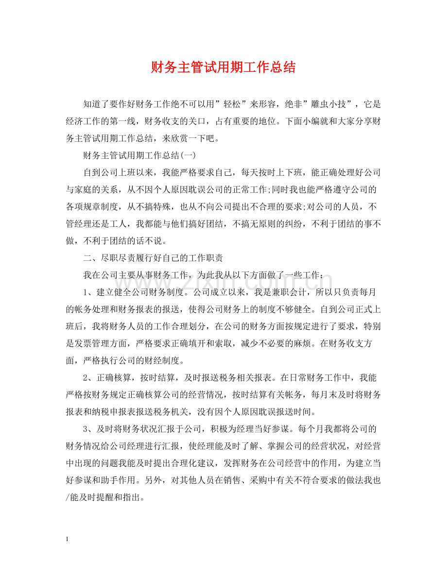 财务主管试用期工作总结.docx_第1页