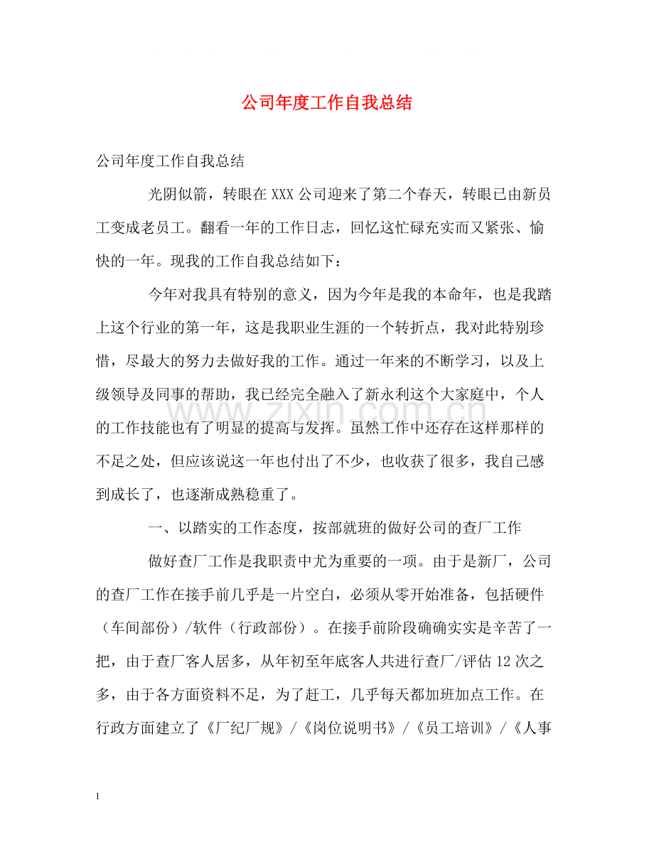 公司年度工作自我总结.docx_第1页