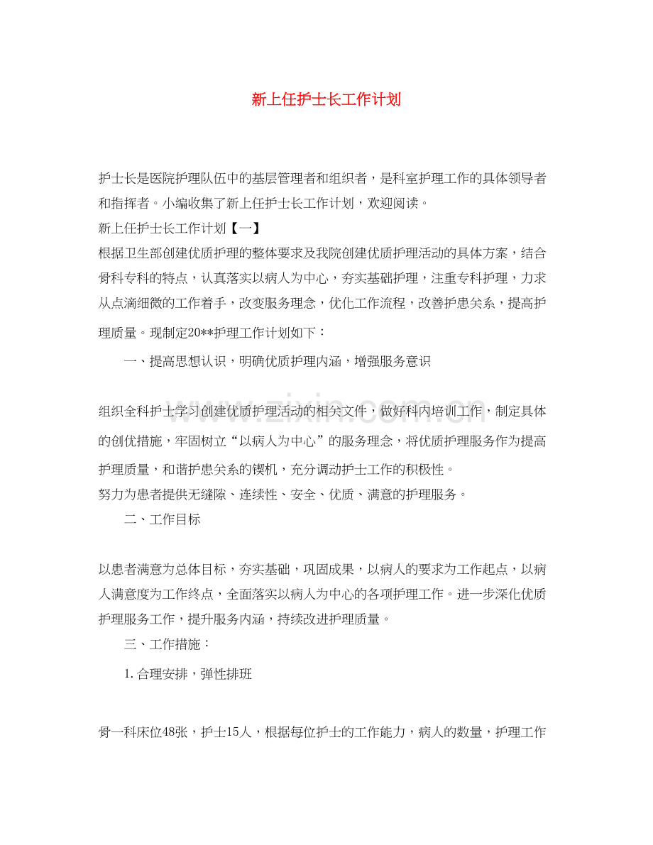 新上任护士长工作计划.docx_第1页