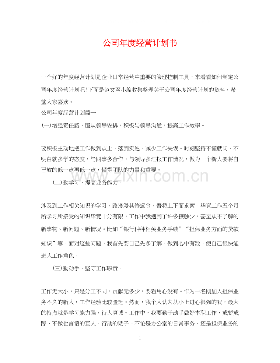 公司年度经营计划书2.docx_第1页