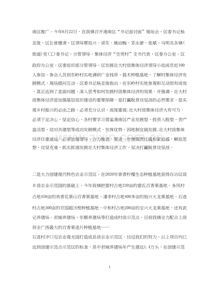 工作总结乡镇年度工作总结及年度工作计划范文.docx_第3页