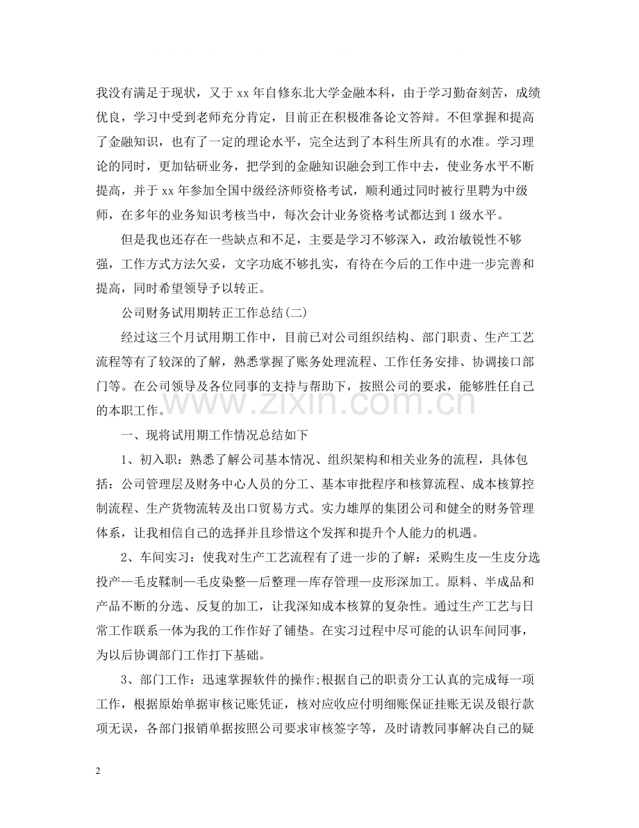 公司财务试用期转正工作总结.docx_第2页