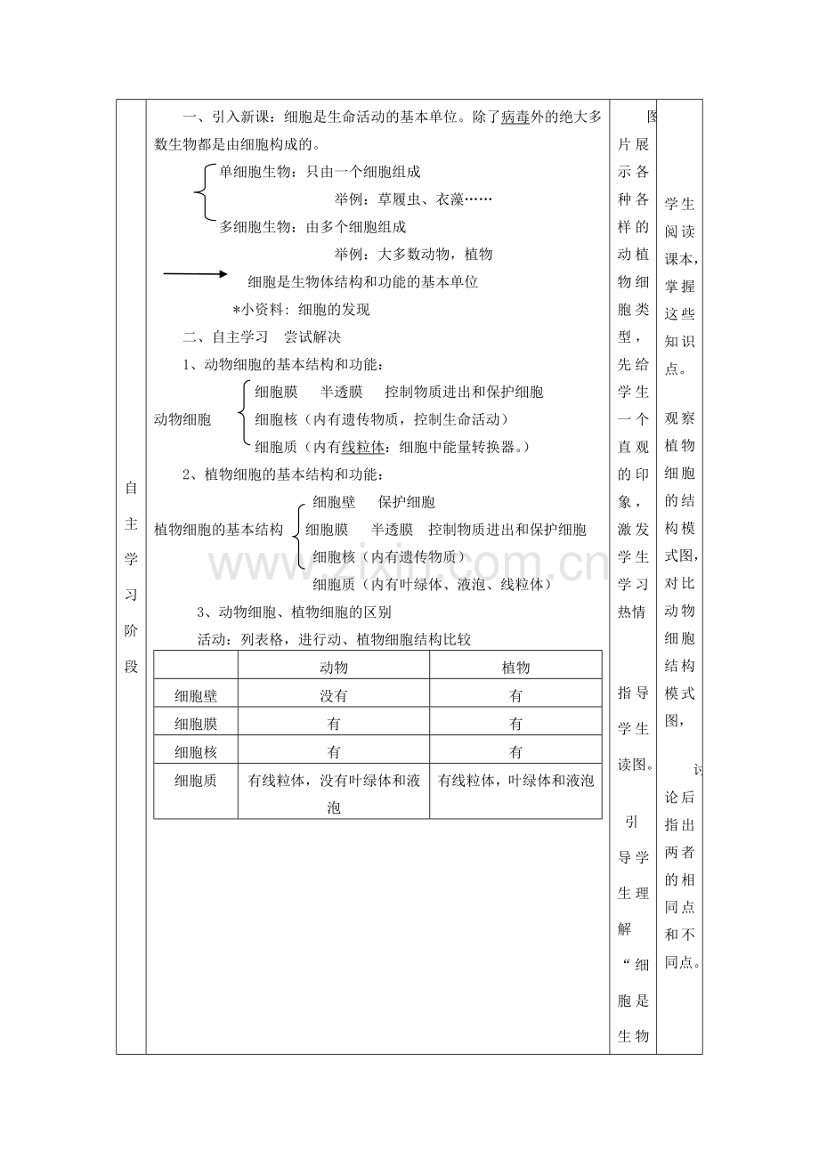 七年级生物上册 第2单元 第3章 细胞 第1节 细胞的基本结构和功能教案（新版）北师大版-（新版）北师大版初中七年级上册生物教案.doc_第3页