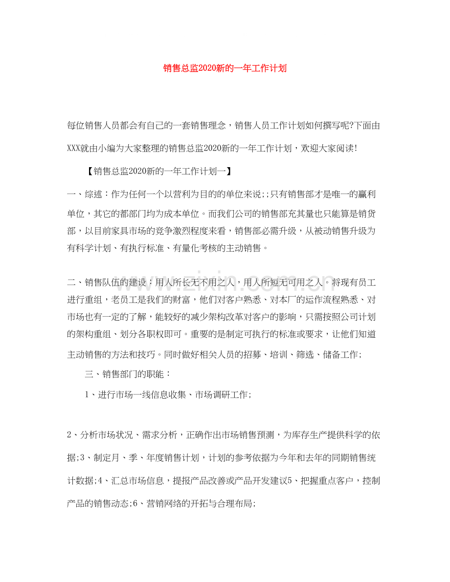 销售总监新的一年工作计划.docx_第1页