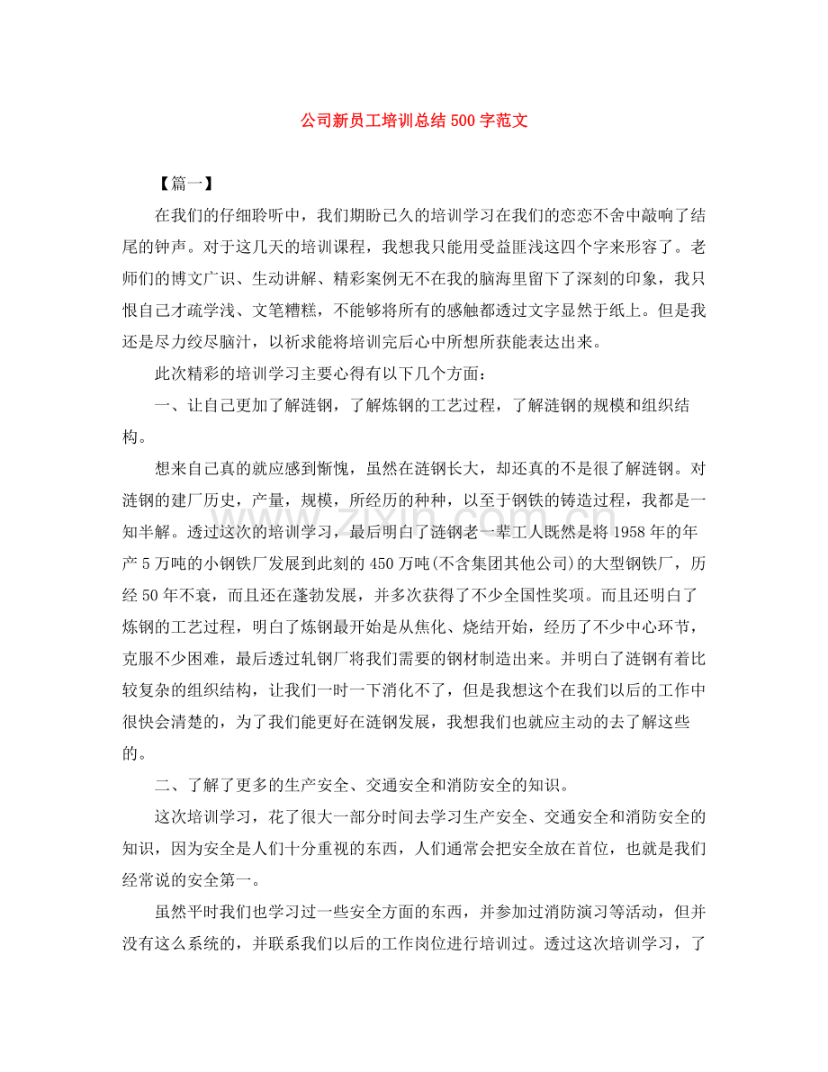 公司新员工培训总结500字范文.docx_第1页