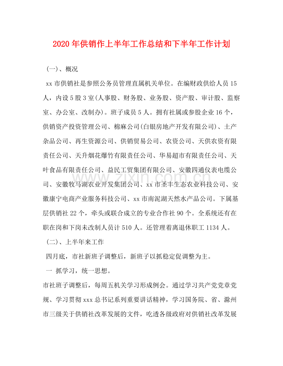 2020年供销作上半年工作总结和下半年工作计划.docx_第1页