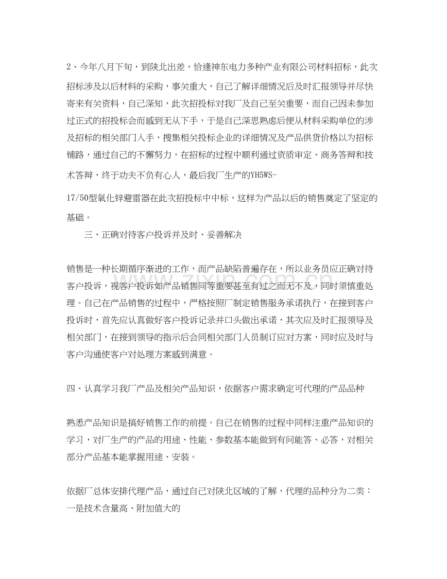 业务员年度总结计划.docx_第3页