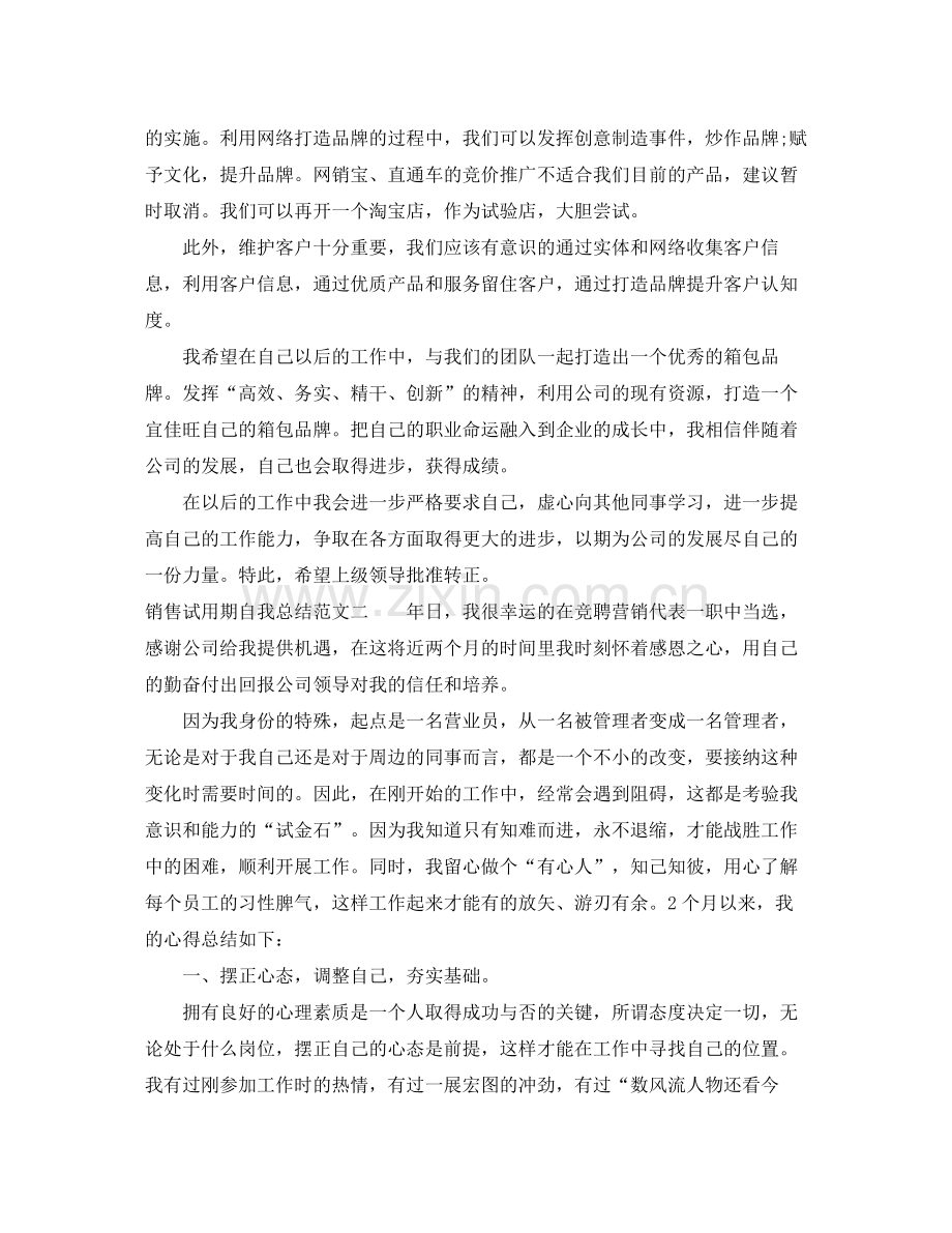 销售试用期自我总结怎么写.docx_第2页