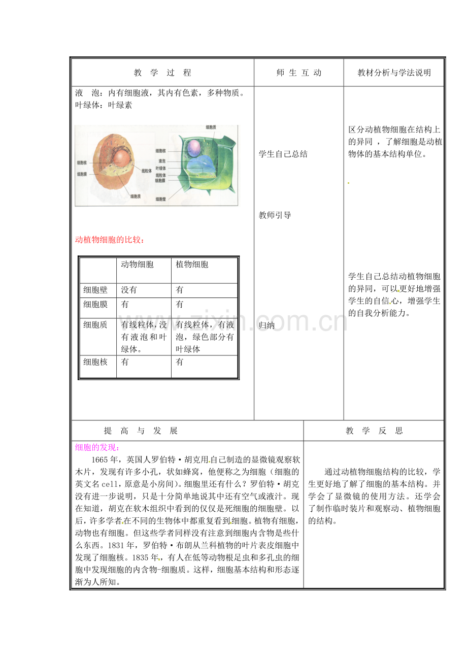 七年级生物上册 第二单元《生物体的结构》第3章 细胞是生命活动的单位 3.1 细胞的基本结构和功能（三）教案 （新版）北师大版.doc_第2页