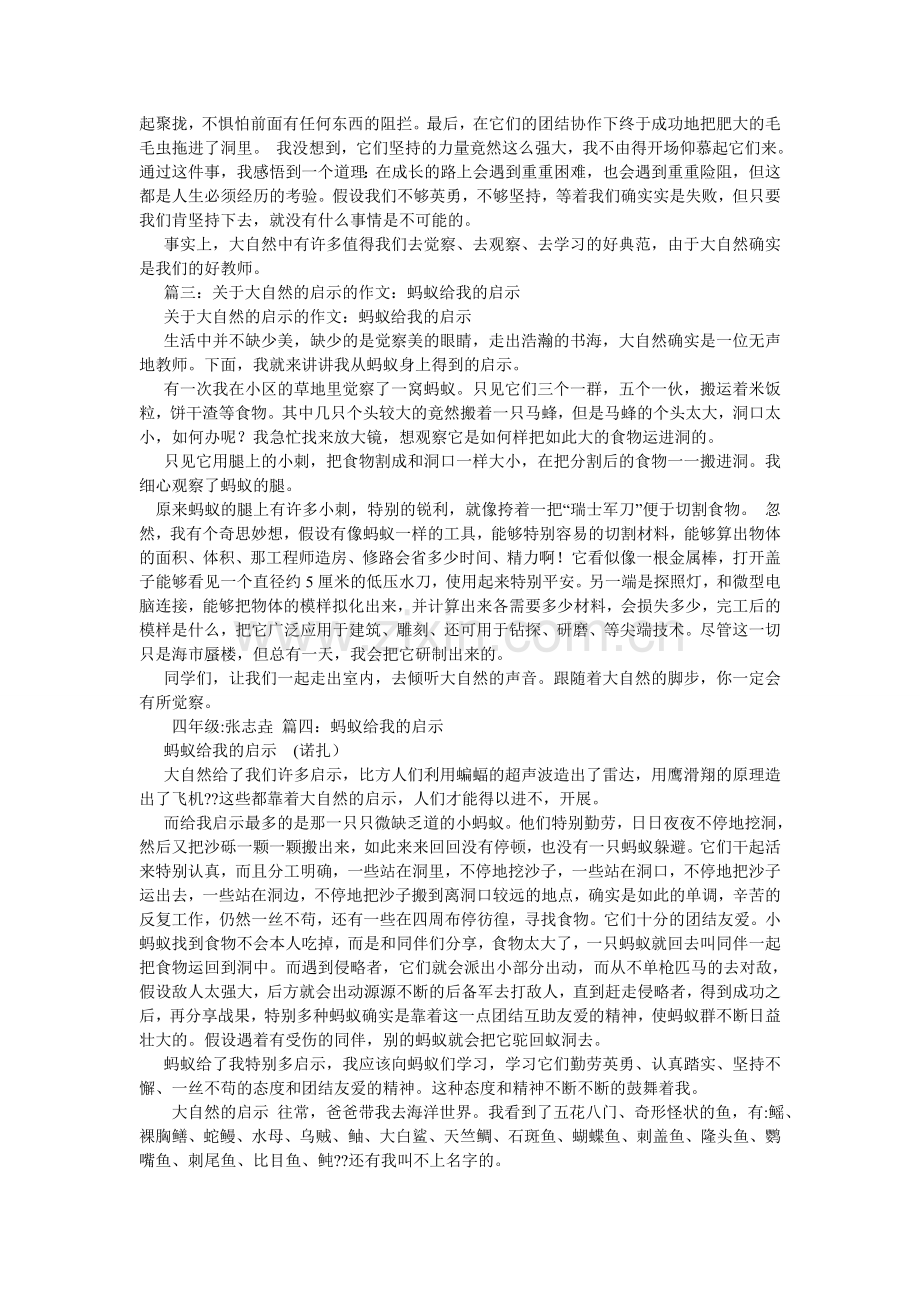 观察蚂蚁作文600字.doc_第3页