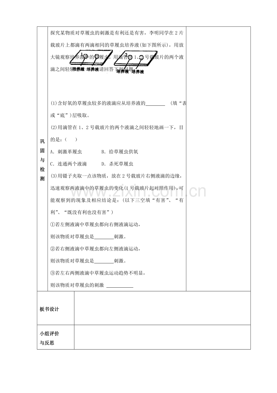 中考生物 专题二生物体的结构层次课时2教案 苏教版.doc_第3页