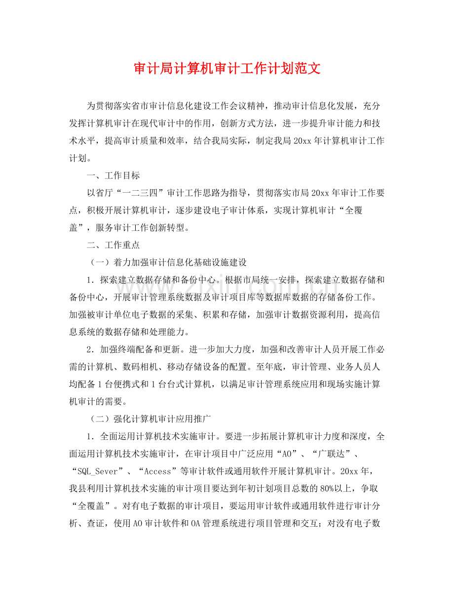 审计局计算机审计工作计划范文 .docx_第1页