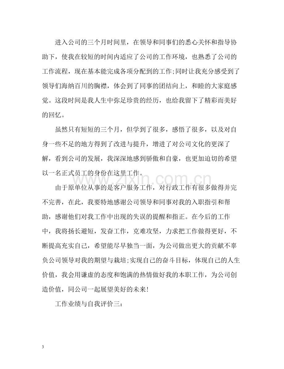 工作业绩与自我评价.docx_第3页