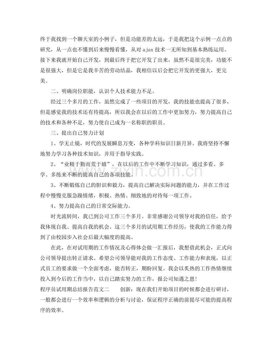 程序员试用期总结报告.docx_第2页