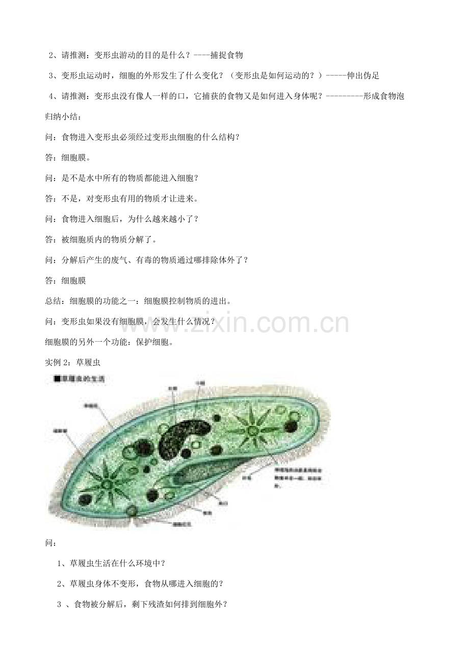 七年级生物上册 第二单元 第三章 第2节 细胞是生命活动的单位教案 北师大版-北师大版初中七年级上册生物教案.doc_第2页