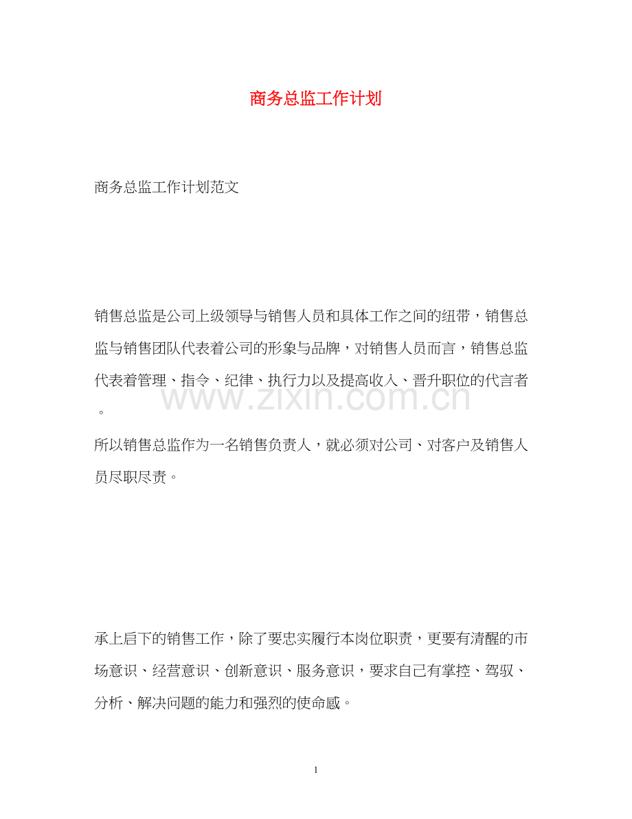 商务总监工作计划2.docx_第1页