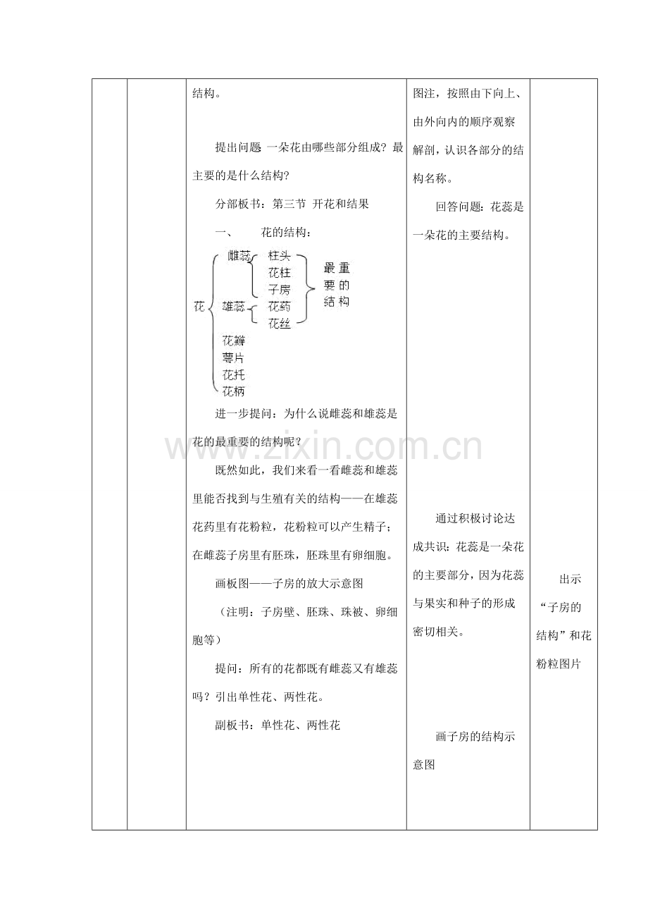 七年级生物上册 3.2.3《开花和结果》教案2 （新版）新人教版-（新版）新人教版初中七年级上册生物教案.doc_第3页