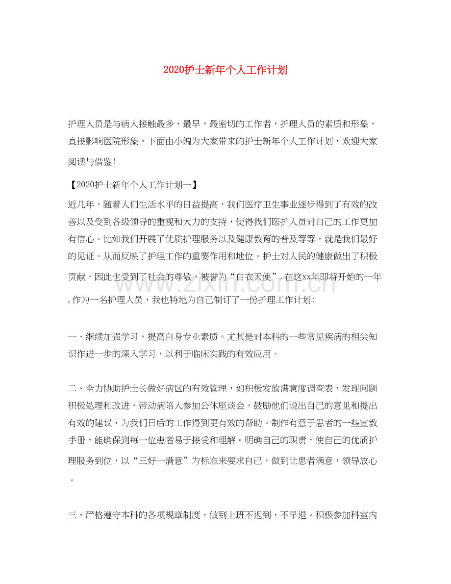 护士新年个人工作计划.docx_第1页