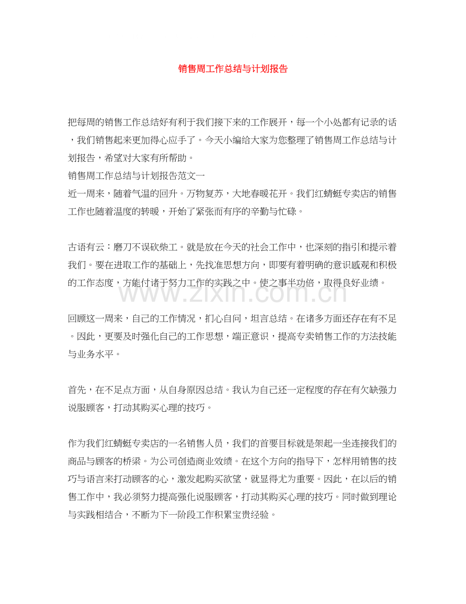 销售周工作总结与计划报告.docx_第1页