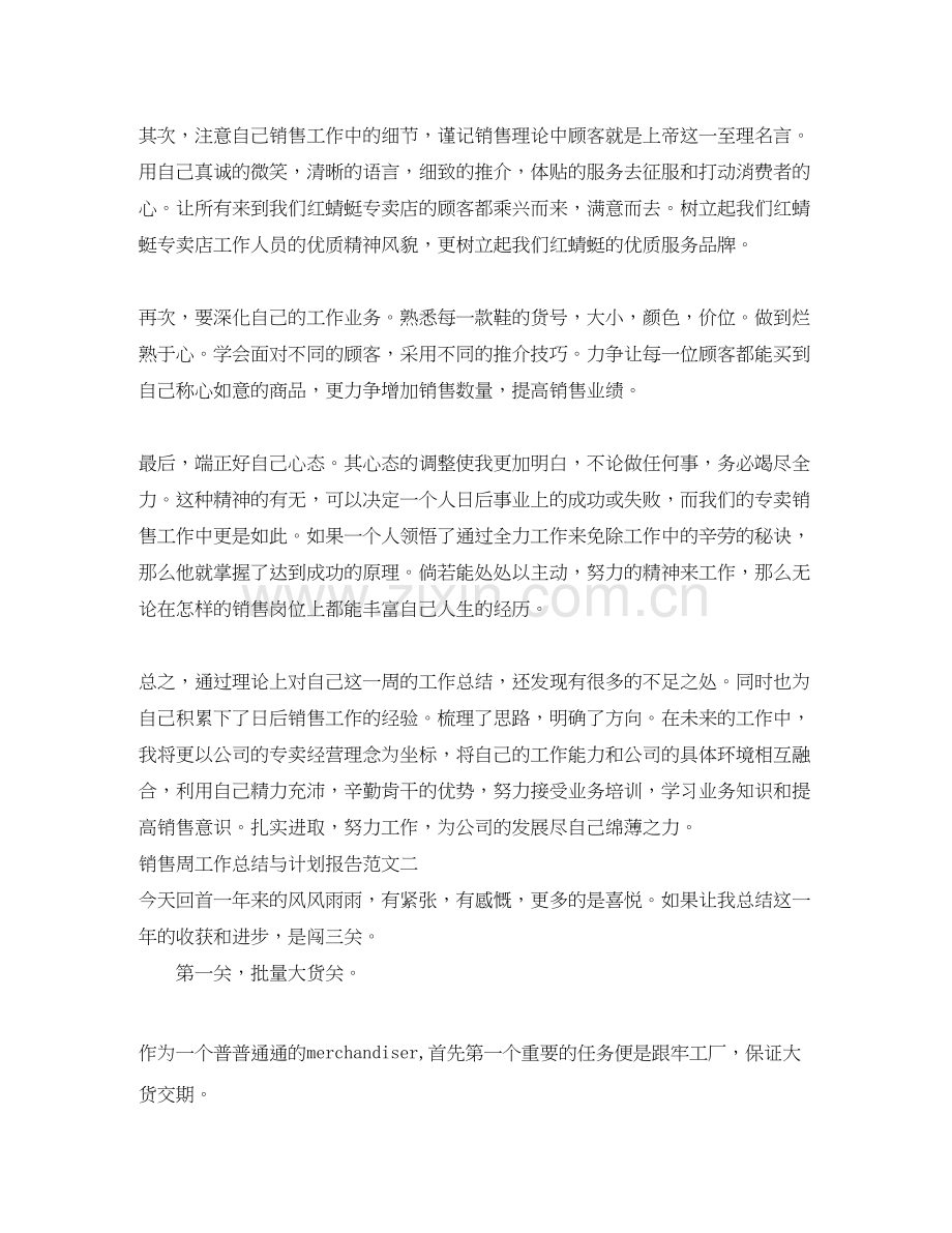 销售周工作总结与计划报告.docx_第2页