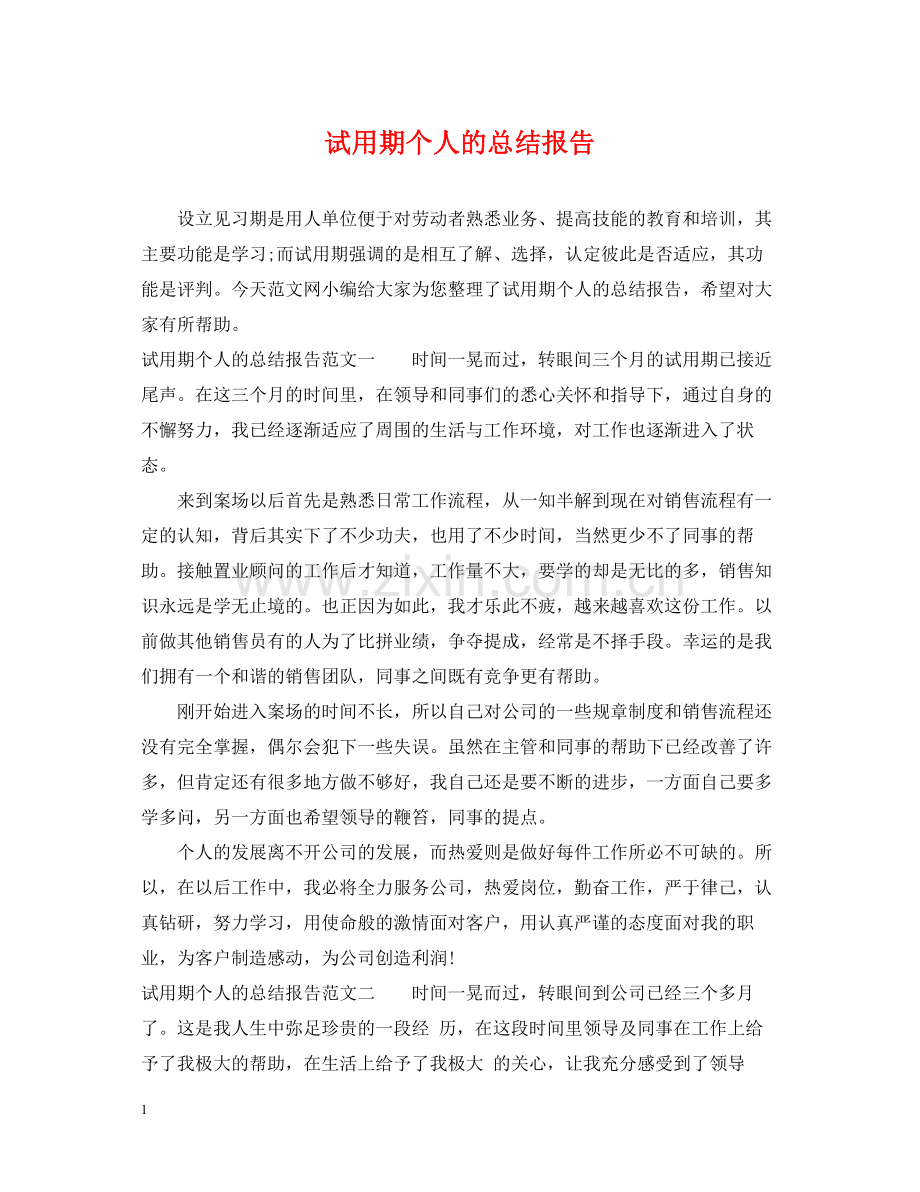 试用期个人的总结报告.docx_第1页