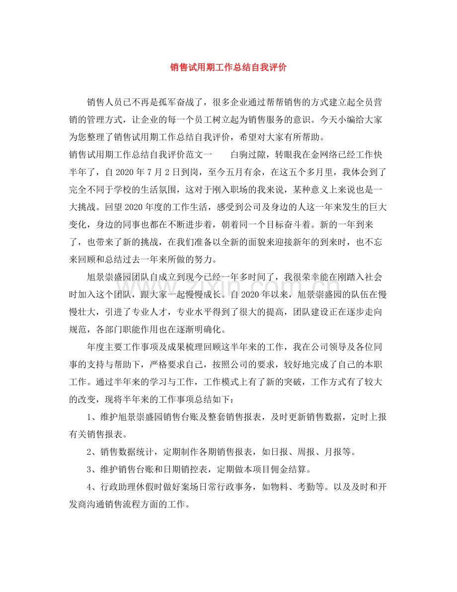 销售试用期工作总结自我评价.docx_第1页